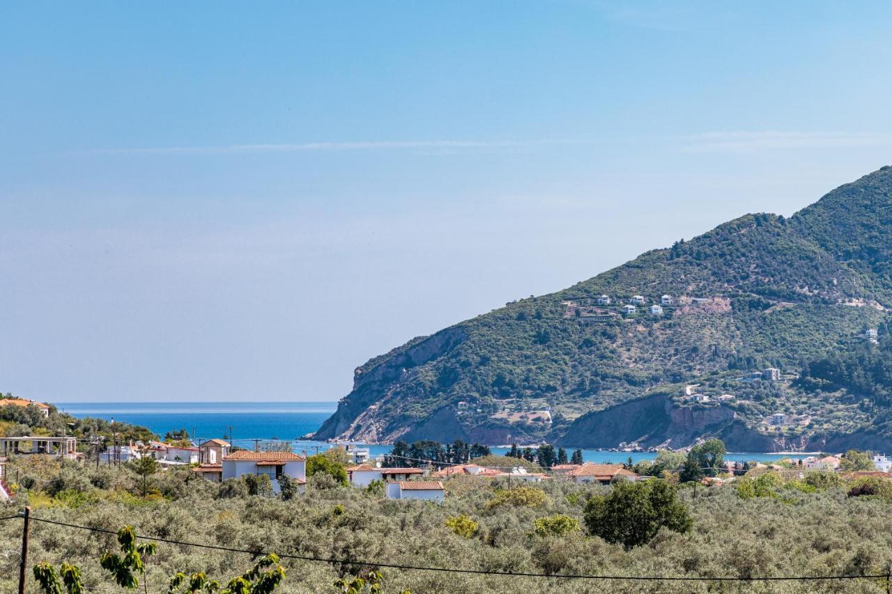 Eleonora'S Βίλα Σκόπελος Εξωτερικό φωτογραφία